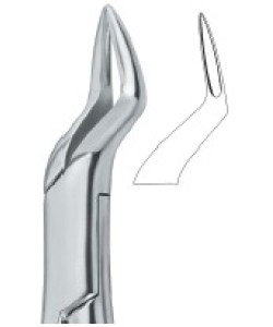 Incisors and Roots 65